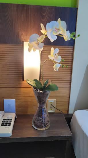 Plaza Ponta Negra Apartment *